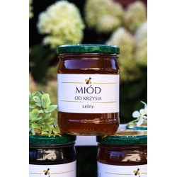 Miód Leśny 650g